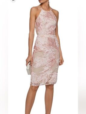 Embroidered Light Blush Midi Sheath Dress